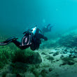 Load image into Gallery viewer, SDI Open Water Course