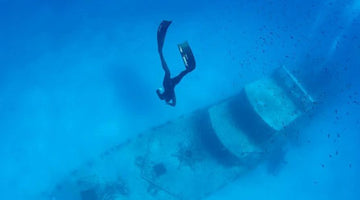 Freediving Experience