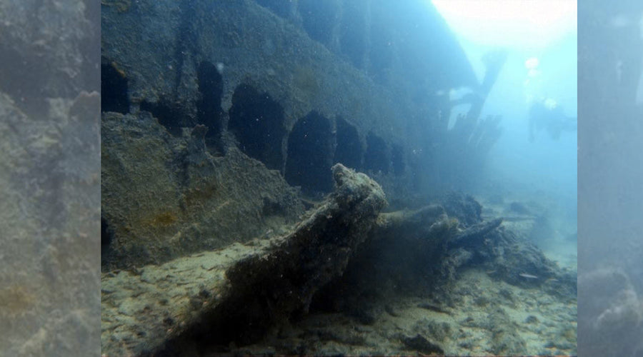 HMS Māori Wreck Dive | St Elmo's Bay, Valletta, Malta