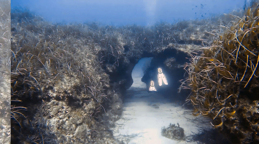 Qawra Point Reef Dive | Fra Ben Cave, Malta