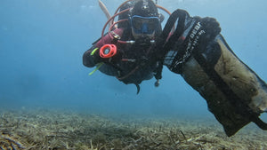 Debris dive eco dive centre
