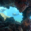 Load image into Gallery viewer, Two divers swimming along the reef at Cirkewwa, taken through an arch in the reef wall
