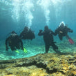 Load image into Gallery viewer, Four divers in a row posing for a photo at Cirkewwa
