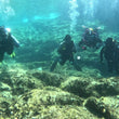 Load image into Gallery viewer, A group of divers on the PADI Open Water Referral course on a reef dive in Cirkewwa
