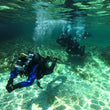 Load image into Gallery viewer, A diver leading a group in shallow water showing navigational skills
