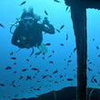 Load image into Gallery viewer, Looking out at another diver from inside the Tugboat Rozi Wheelhouse at Cirkewwa, Malta. Part of the PADI Advanced Open Water diver course in Malta
