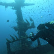 Load image into Gallery viewer, a diver photographing a rare triggerfish around the mast of the p29 shipwreck at Cirkewwa in Malta

