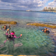 Load image into Gallery viewer, People scuba diving in clear water with Bugibba in the background
