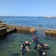 Load image into Gallery viewer, Three scuba divers in the water near a rocky shoreline with clear blue sky.
