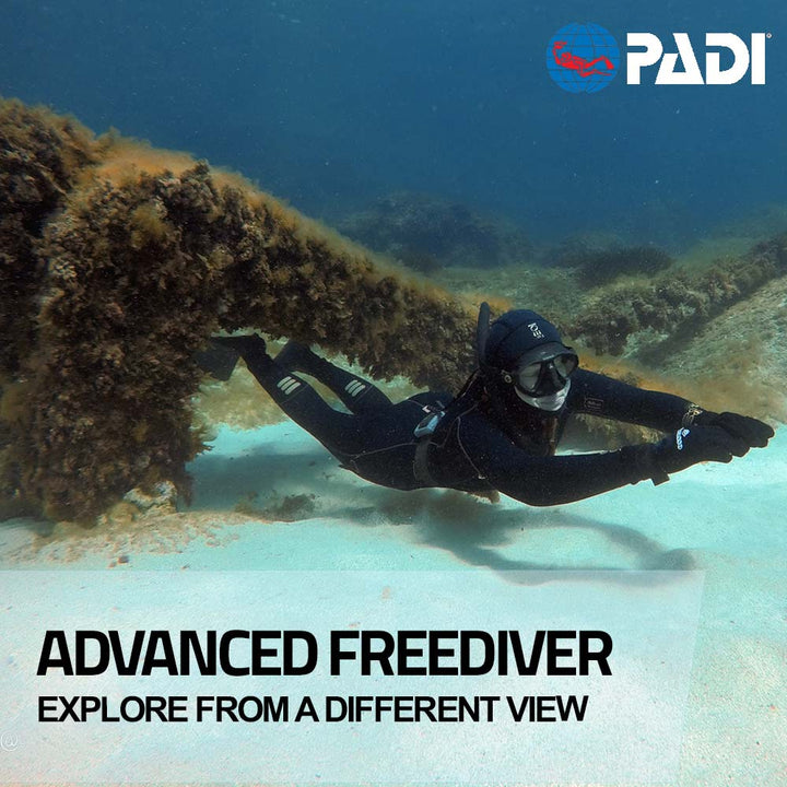 PADI Advanced Freediver Course