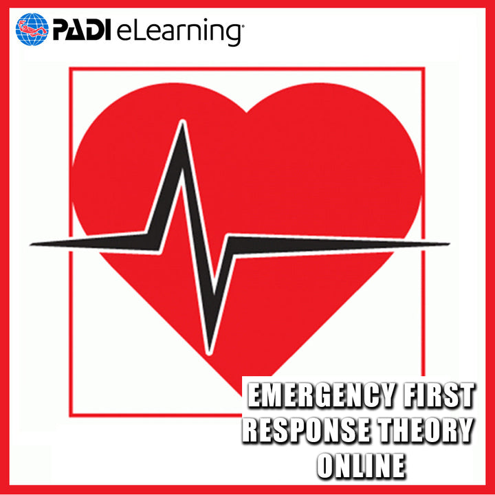 Emergency First Response Theory Online