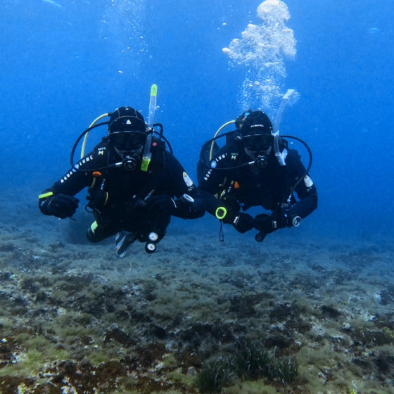 Reef dive at Qawra Point