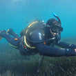 Load image into Gallery viewer, A diver in trim swimming above sea grass in bugibba, saint paul's bay
