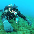 Load image into Gallery viewer, A diver in  drysuit and technicial diving gear hovering over a reef in Malta
