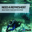 Load image into Gallery viewer, A group of divers swimming in shallow water doing a scuba refresher in Malta
