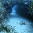 Load image into Gallery viewer, Visiting the underwater arch at Qawra Point, Bugibba, Saint Paul's Bay, Malta on a scuba dive
