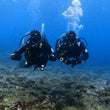 Load image into Gallery viewer, Two divers hovering over the reef in clear Mediterranean water at Qawra Point
